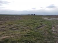 images/actualites/Baie-de-Somme-17mar2018/77.jpg